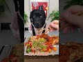 #Clearly a lazy dog #Dog eating #Living worse than a dog #Cute pet eating diary #How greedy
