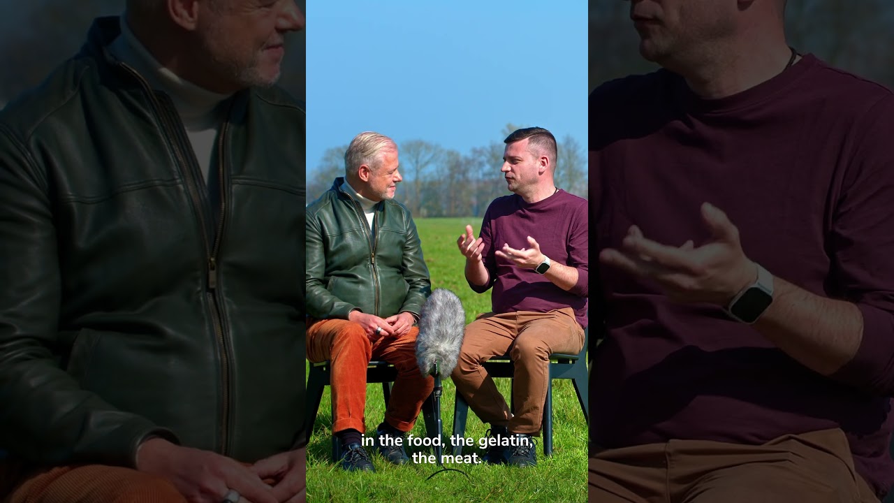 Why Does Leather Take All the Blame?
