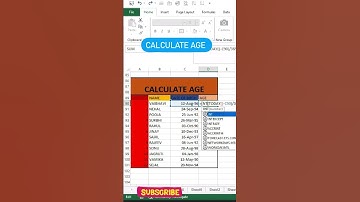Calculate age #excel #exceltips #exceltutorial #excelforbegginers #exceltricks #excelreels