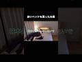 良いベッドを買った夫婦の様子