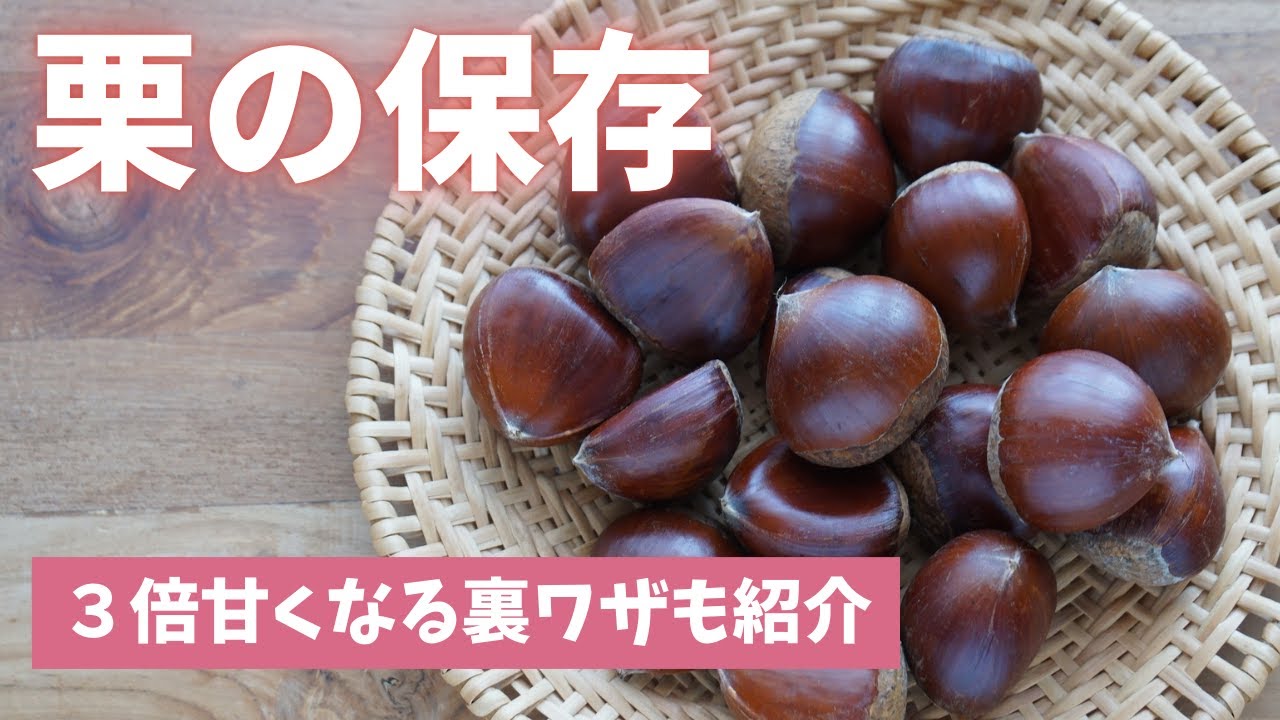 栗 の 保存 方法 ためして ガッテン