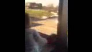 IMG 0803 1