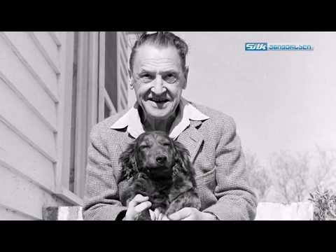 მწერლები, რომლებმაც მონაწილეობა მიიღეს პირველ მსოფლიო ომში