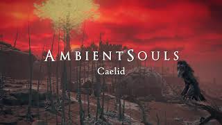 Ambient Souls - Caelid | One Hour of Elden Ring Ambience and Atmosphere