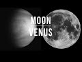 Synastry Inter-Aspect Series: MOON + VENUS Compatibility