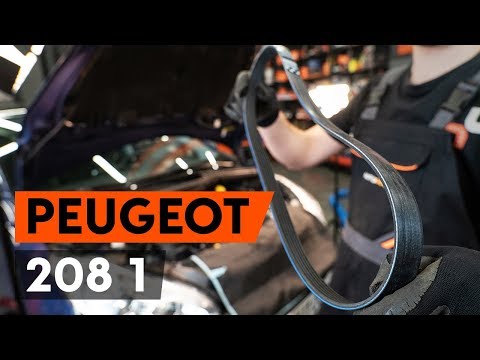 How to replace serpentine belt / v-ribbed belt on PEUGEOT 208 1 (CA_,CC_) [TUTORIAL AUTODOC]