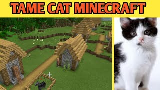 How to tame cat in minecraft ! Taming cat in minecraft ! Tame cat minecraft pe ! screenshot 2