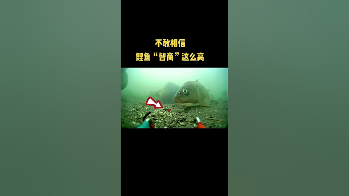 真是不敢相信鲤鱼“智商”这么高。鲤鱼的智商相当于5岁小孩吗？鲤鱼是生存适应性强的动物，但其智力本质是本能+有限经验的结合，与人类儿童的认知复杂度不在同一维度。如果想类比，鲤鱼的“智商”更接近1~2