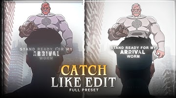 @catchthedit Like Edit (Preset) | After Motion !