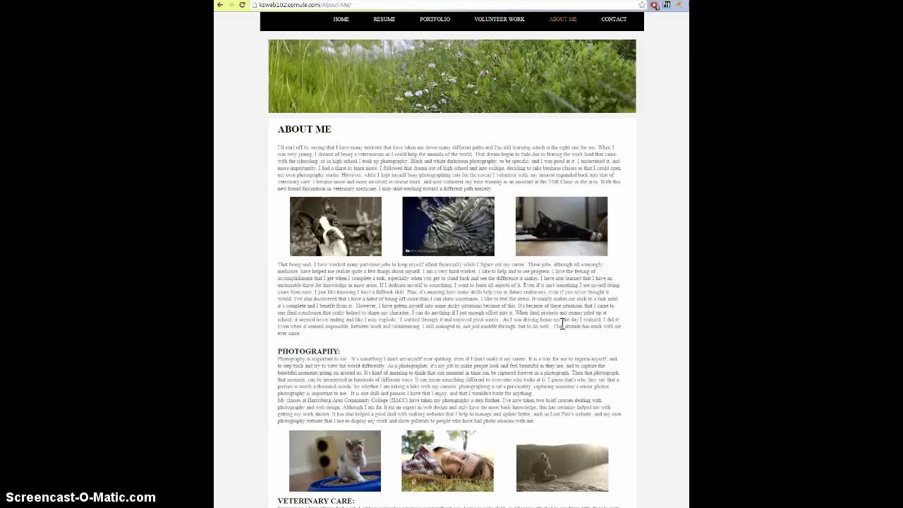 My Screencast Final Web 102 Project - YouTube