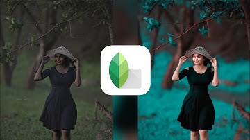 Snapseed Realistic Photo Editing Tricks | Best Realistic Colour Effect Editing | Snapseed Editing