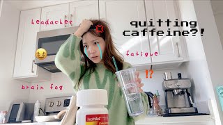 quitting caffeine for a week in med school challenge