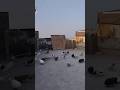 Kabutar Bazi video #pigeonlover #birdslover #foryou #trending #viralvideo
