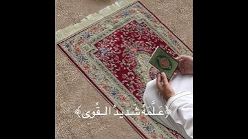 اكتب شيء تؤجر عليه ، قرآن الكريم سورة النجم علي جابر