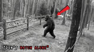 6 Most DISTURBING Bigfoot Encounters Caught On Camera | Scary Comp. V23