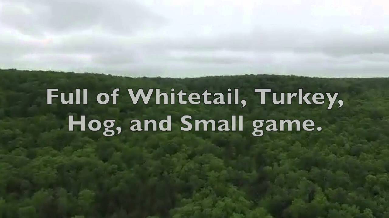 Beautiful recreational land for sale in NE Oklahoma YouTube