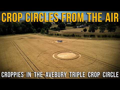 Croppies in the Avebury Triple Crop Circle | July 2026 | Crop Circles From The Air