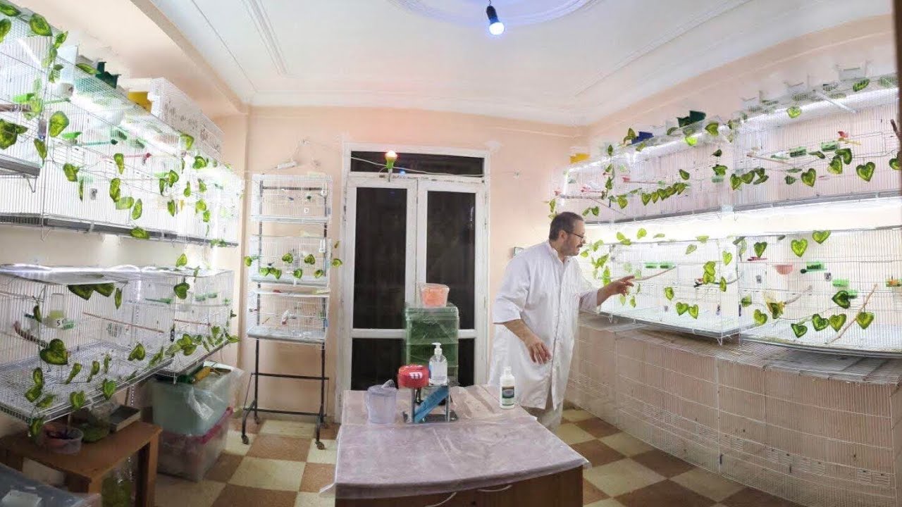 Mon avis sur la situation de l'ornithologie en Algérie -Partie 1/Dr Reda Numedia