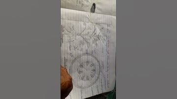 B.Sc.1stYear Botany Experimental Examination(2nd Semester) Copy kaise likhe