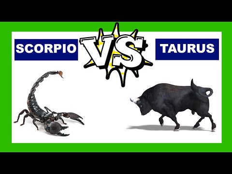 taurus scorpio vs