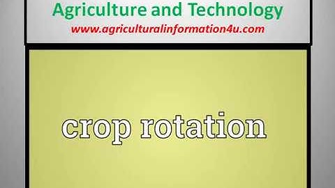 What is the Importance of Crop Rotation in Mixed Cropping?