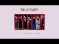BALLISTIK BOYZ [SUM BABY/Lyrics]