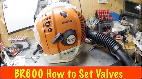 Stihl Br600 How to Set Valves DIY
