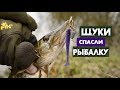 Ловля пассивного ОКУНЯ и ЩУКИ с БЕРЕГА на РЕКЕ !  Апрель