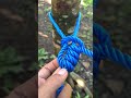 Incredible Slip Knot!🤔#knots #knottying #howtoknot #ropework #usefulknots #diytutorial #shorts