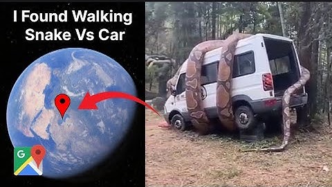 I Found Walking Snake Vs Car Google map and Google Earth #viralvideo #video #google 
