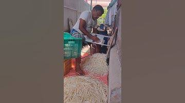 🍠TAPIOCA FINGER CHIP