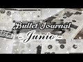 BULLET JOURNAL JUNIO✨ Planeación blanco y negro🖤🤍 Plan whit me