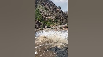 تلاوة خاشعة تريح القلب و الروح بصوت الشيخ سعود الفايز @مجيدوchanel