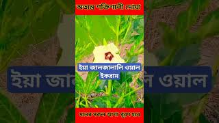 ফজরের নামাজের পর দোয়াটি ১ বার পড়ুন আপনার মনের আশা পূরণ হবে? ইনশাআল্লাহislamicshortsvideoviral