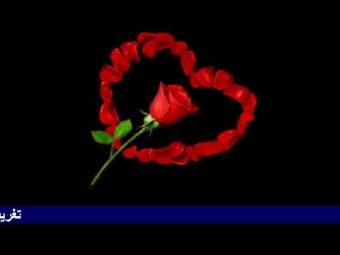 احمد عبد الرازق و عائشة الفلاتية الريد الريدة يا حبيب قلبى تغريد محمد