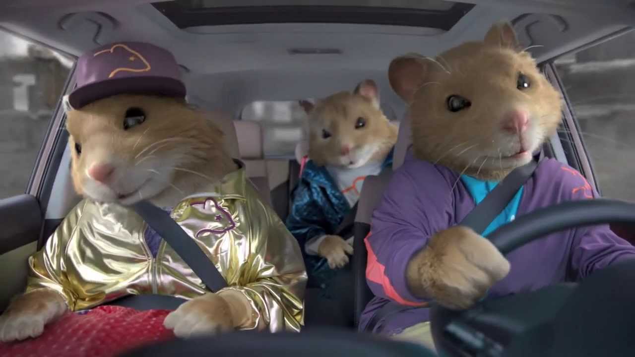 Sad hamster violin hamster. Хомяк за рулем. Мышка машина. Мышь за рулем. Человек хомяк.