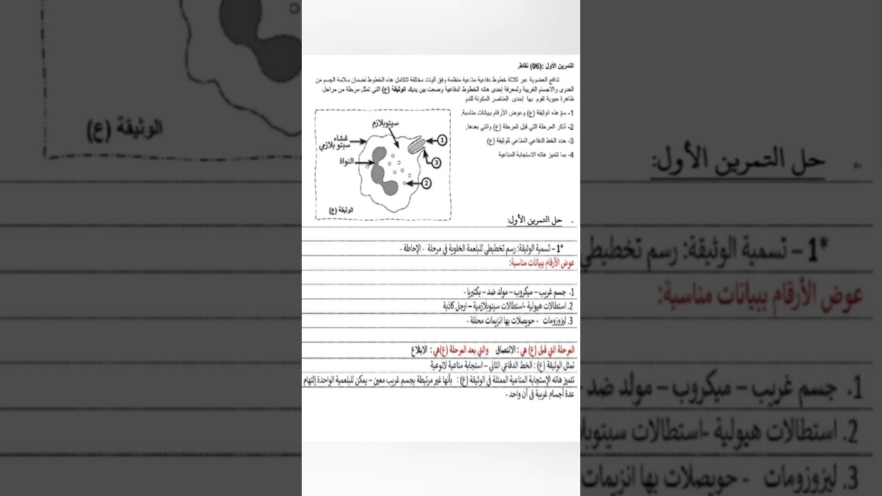 تمرين محلول حول عملية البلعمة رابعة متوسط