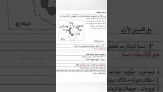 تمرين محلول حول عملية البلعمة رابعة متوسط