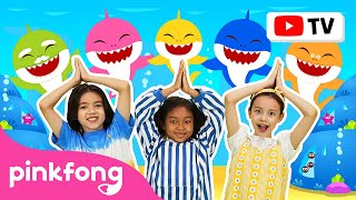 [4K] Baby Shark Doo doo doo doo doo | Dance Along | Kids Rhymes | Pinkfong Videos for Children