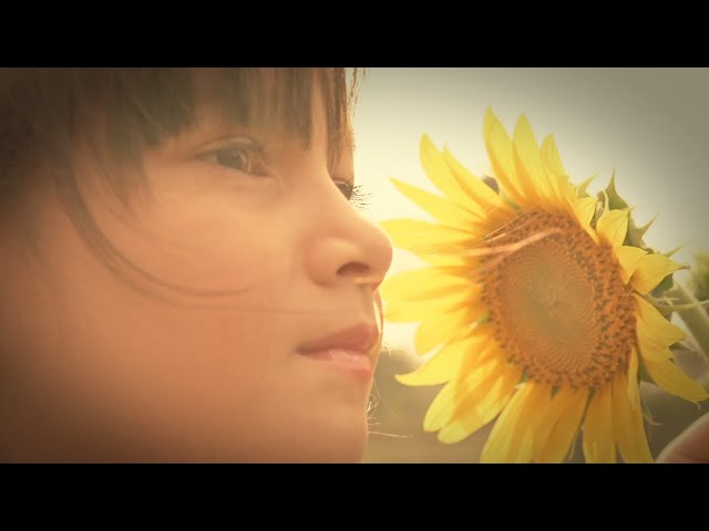 MV】→Pia-no-jaC← / 台風 Sandy in NY [Typhoon Sandy in NY] - YouTube