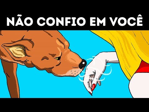 Vídeo: Pesquisas Mostram Que Os Cães Preferem O Cheiro Dos Donos Acima De Todos Os Outros