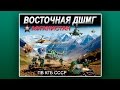 Восточная ДШМГ