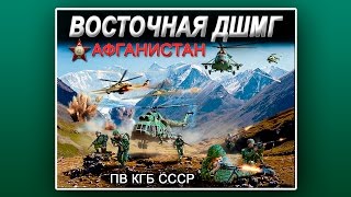 Восточная ДШМГ Восточная ДШМГ
