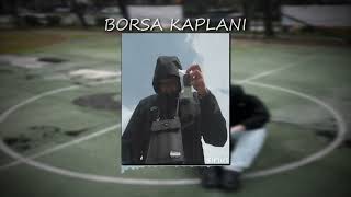 ege! - borsa kaplani (slowed+reverb) Resimi