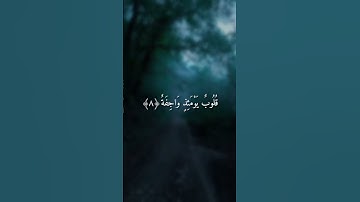 سورة النازعات 🌿🦋🎧 #المصحف #الرحمن #فلسطين_حرة #راحة_نفسية #اللهم_صل_وسلم_على_نبينا_محمد
