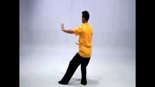 Simplified Tai Chi 24: Reverse View