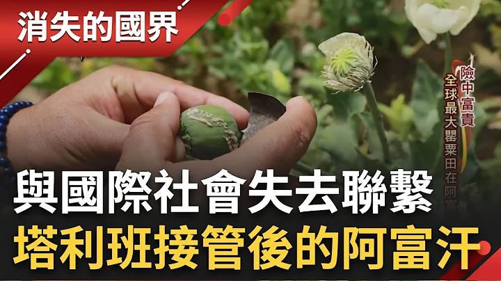 曾供應全球"9成以上"非法海洛因! 全球最大罌粟田在阿富汗 塔利班接管後"90億資金"遭美國凍結 與國際失去聯繫 人民日子苦不堪言│李文儀 主持│【消失的國界 完整版】20230805│三立新聞台 - 天天要聞