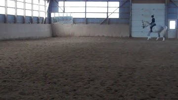 Molly - Canter Half Pass and Counter Canter