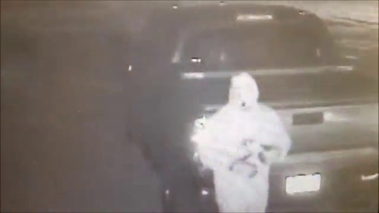 Theft from business on 11/21/15 suspect adjective