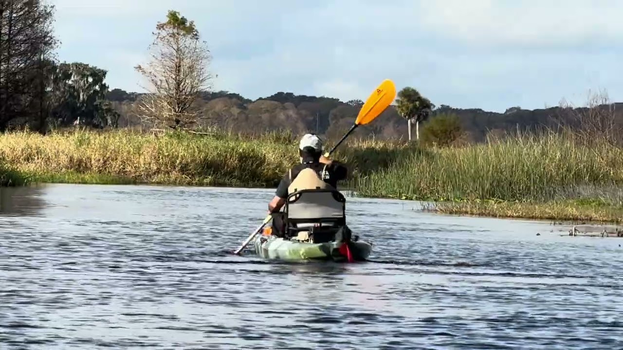 Team 7 Trees activation @ US-12121